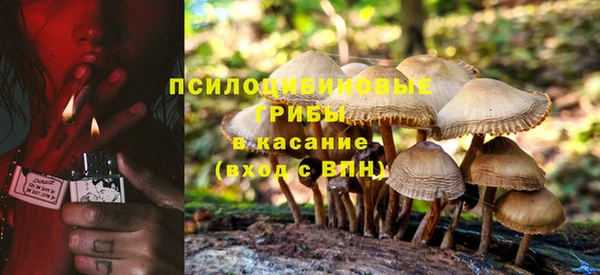 спиды Алзамай
