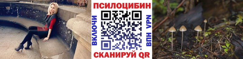 hydra зеркало  Фролово  darknet какой сайт  Псилоцибиновые грибы GOLDEN TEACHER 